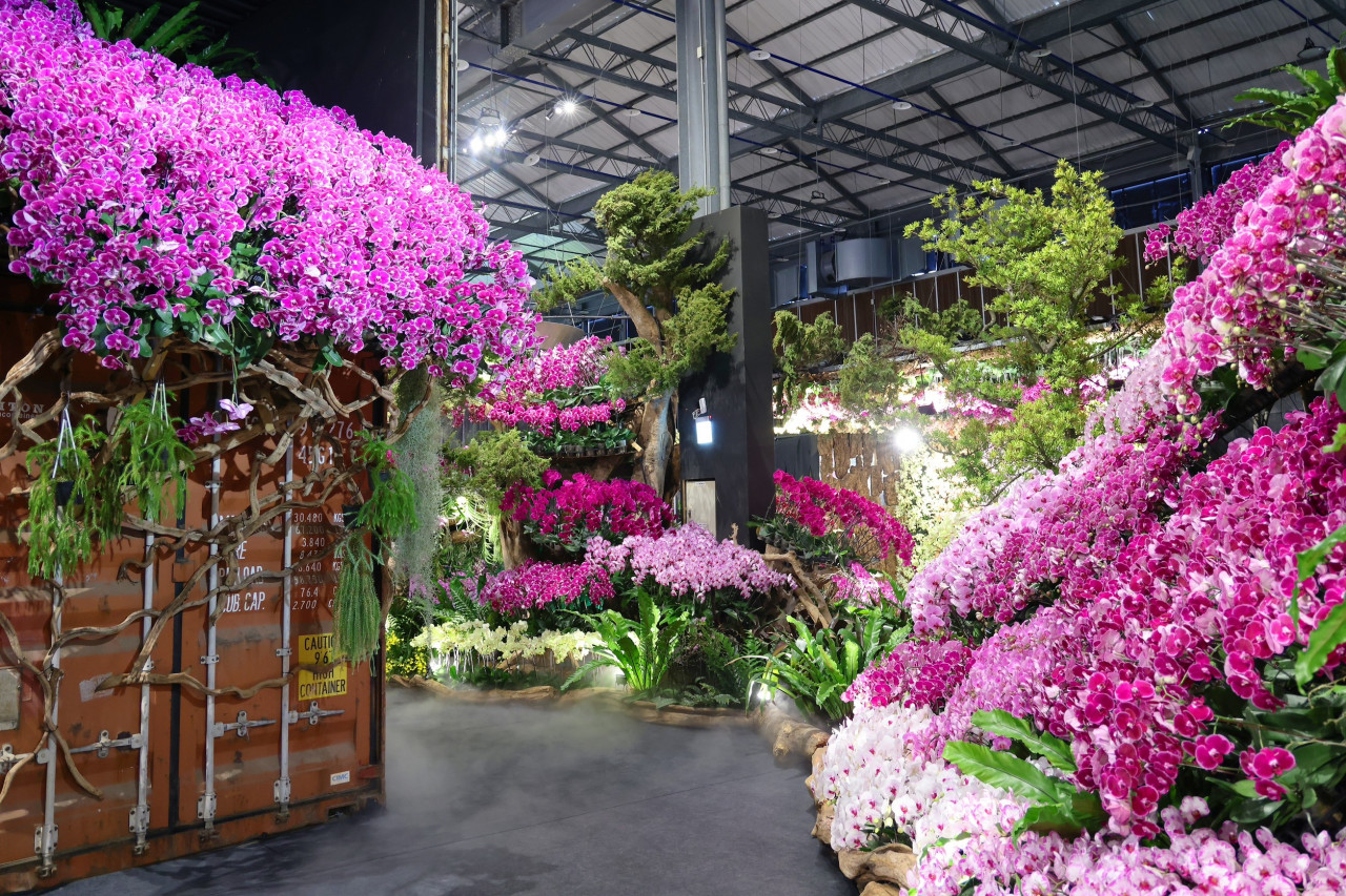 「邂逅・熱帶共生」展區，策展團隊成功建構沉浸式的「蘭花密道」。