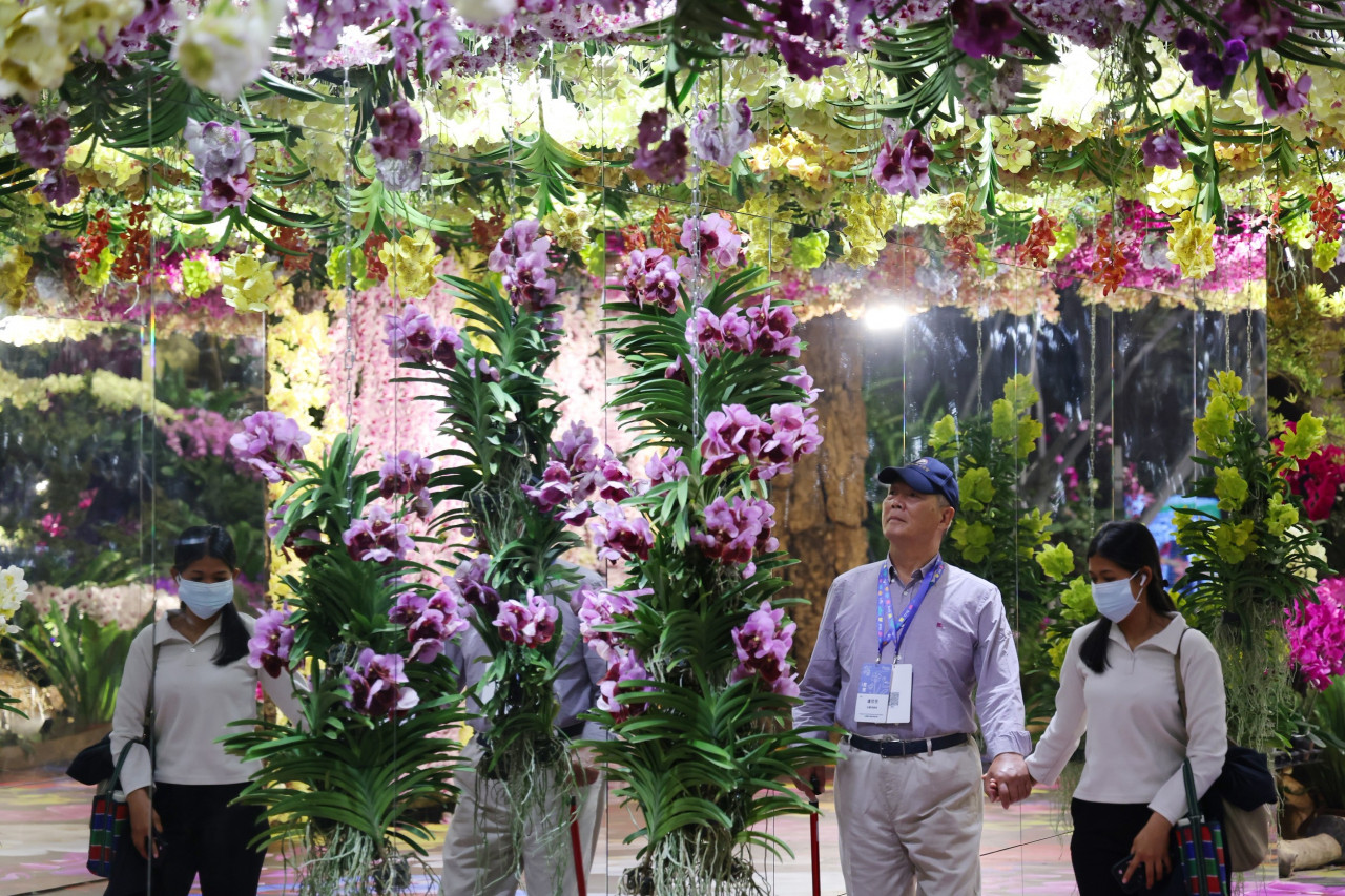 透過藝術與設計重新定義「創作」與「共存」的關係。