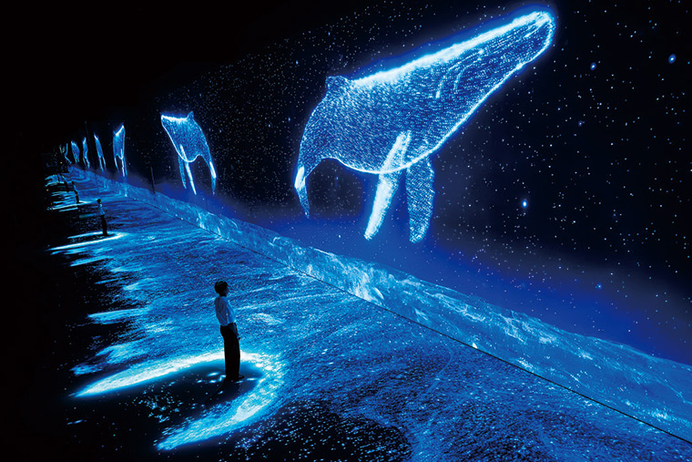 ARTE MUSEUM中名為「海灘」的作 品，讓人彷彿置身海底與鯨魚共舞。