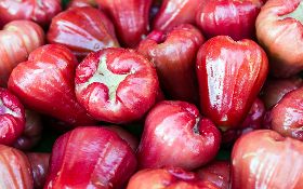 低薪悲歌 台商擬包機帶台青赴陸當臨時工