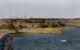 【蚊子館採訪後記】與蚊共舞 和官員跳恰恰