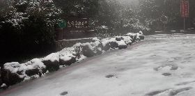 陽明山下雪了 國家公園PO雪景照