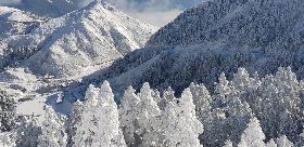 合歡山絕美雪景 網友：這是歐洲嗎？