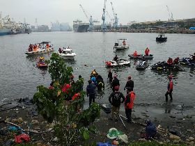 人類對不起你們 小虎鯨死亡 胃裡塞18個塑膠袋