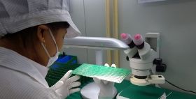 敬鵬遭大火影響跳空跌停萬張賣單高掛 股價跌破淨值