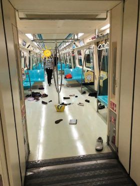 老鼠出沒民眾驚叫奔逃 北捷：來自大安森林公園