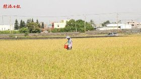 戳破幻想的粉紅泡泡！ 返鄉務農你一定要知道的幾件事