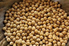 賭陸再進口 美大豆貨輪漂流1個月