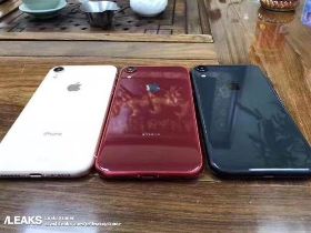 平價版新iPhone曝光 破天荒新色讓人心動