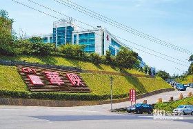 華映、綠能爆財務惡化 大同家族4檔打入跌停