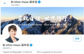 推特更名「台灣駐美大使」　蕭美琴深夜回應：美方各界友人稱呼我的方式