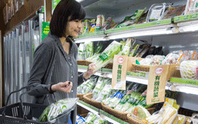 用5W1H 擬定計畫，PDCA離不開現場