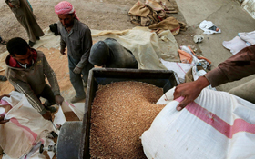 2018全球名家瞭望／艾哈邁德：亞洲農場合作社 糧荒救星