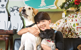 正妹開咖啡館   救助「浪浪」當志業