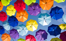 太陽花遮陽傘 會18般武藝