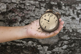 三毛：願你過一生，抵得上別人好幾世