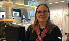 「我可能無法完成論文了」瑞典教授僱傭兵救學生回來交論文，轟動國際媒體