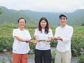 鹿野不只熱氣球、飛行傘 越來越多人探索農村慢活的魅力