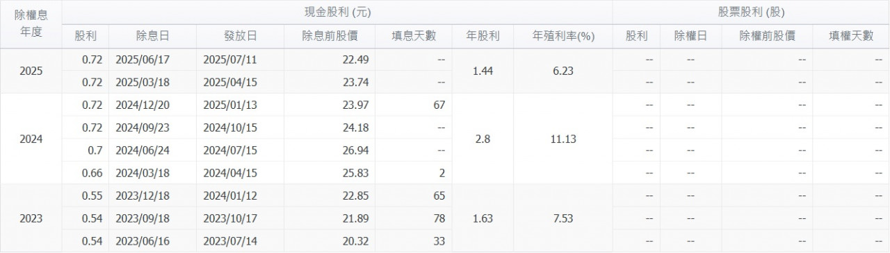 00919股利政策