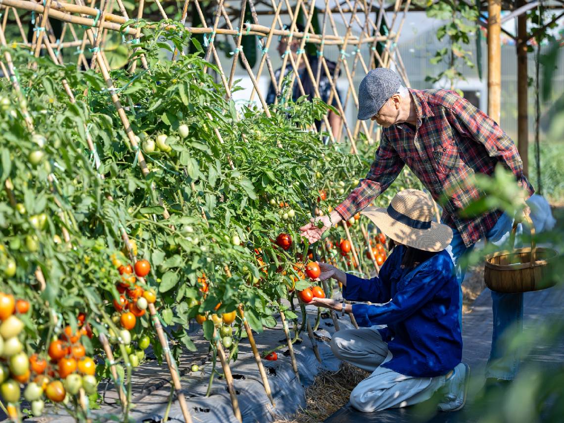 退休生活示意圖