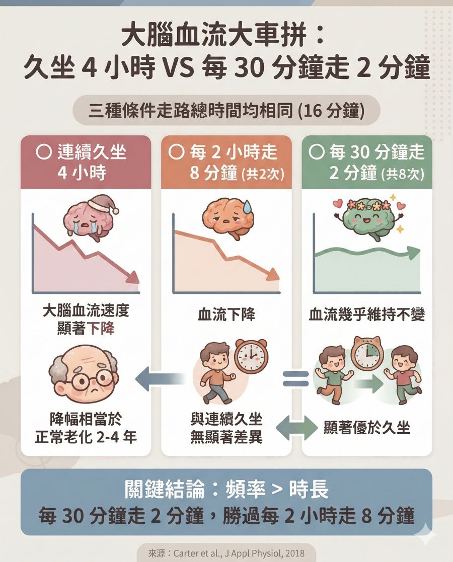 久坐 不動  和每30分鐘走2分鐘 的大腦血流分析比較