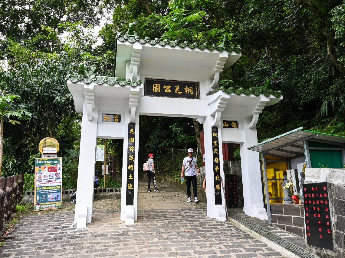 新北桐花公園