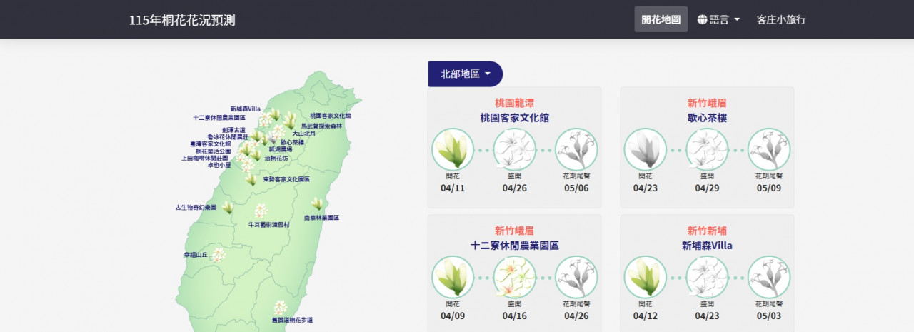 桐花即時花況查詢