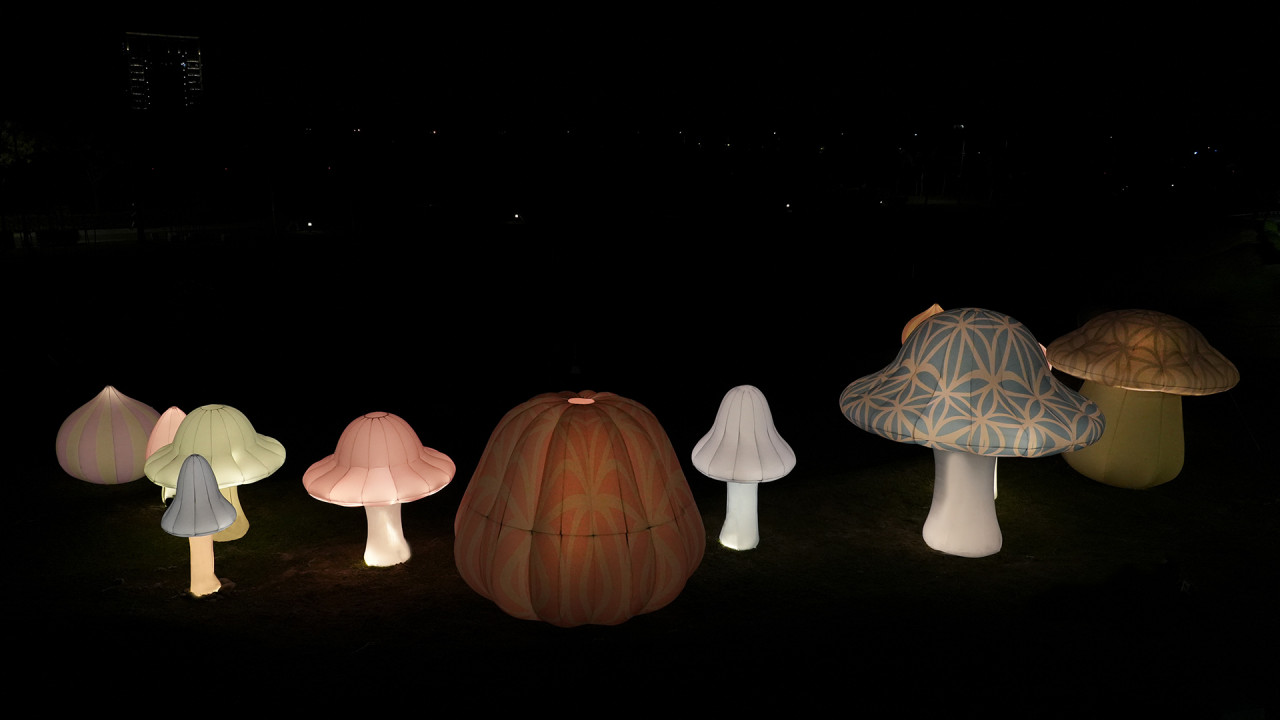 白晝之夜,台北活動