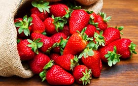 農業機器人超威，1台抵30工人！摘草莓採葡萄一把罩