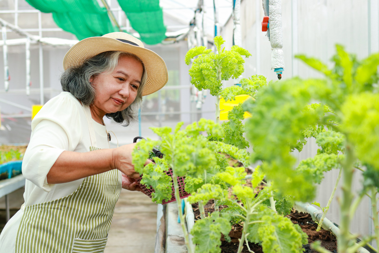 腫瘤切掉就沒事？70歲婦腫瘤太大難開刀，靠「三明治免疫療法」挺過胃癌，再降3成復發風險