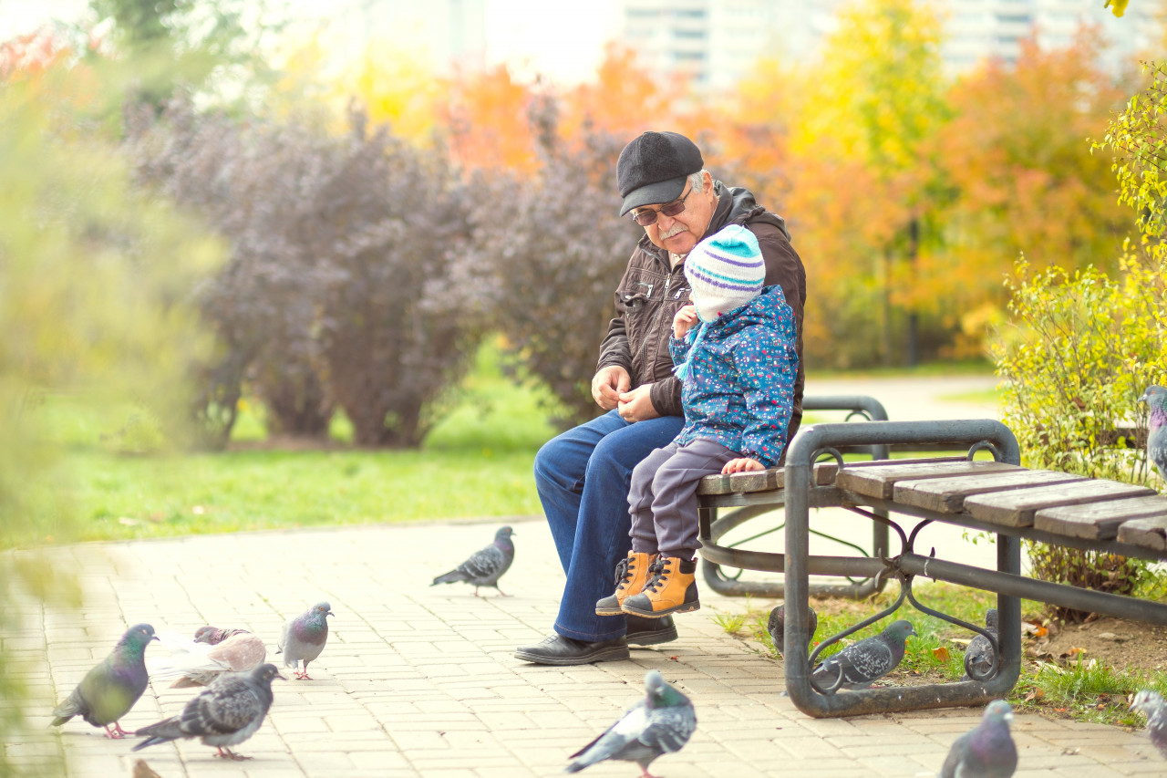 臥床7天肌力掉10％！90歲爺陪孫散步竟救一命…1動作量小腿：低於●公分，肌少症已在身後追