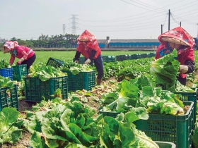 民代拚加碼  農退儲金如何兼顧財政永續？