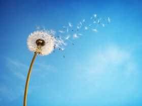 心理測驗：面對生活你有正面對決的勇氣嗎？