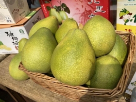 農遊券最後一天　領了不花 80萬張沒人用