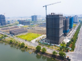 期待下一個效應