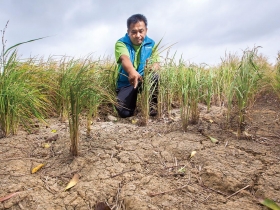 農水署剛掛牌　為何就害農民損失慘重？