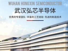 武漢弘芯經歷是噩夢！騙局炸開後首現身　蔣爸親吐事實