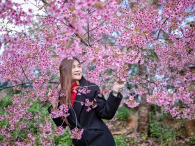 人生終究是自己的，還是要回歸自己的心跳！在不完美的生活，找到喜歡的生活方式