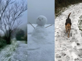 【像極了日本】七星山、武陵降雪！白茫茫一片　堆雪人、狗狗狂踏超開心