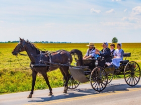 21世紀的隱居者—拒絕汽車、網路、電力的阿米什人