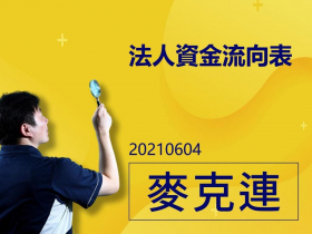 【麥克連】20210604法人資金流向表  