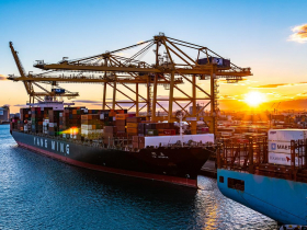 航海王「回不去了」官股低賣在起漲點　港務公司誤判缺櫃潮 國庫少賺225億元