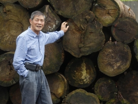 製材老董梁兆清  打造台灣首座國際級林地 他種出環保木材  力拚本土林業復活