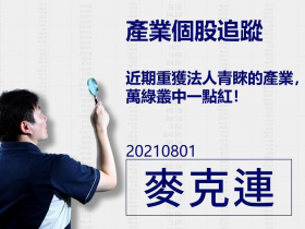 【麥克連】20210801產業個股追蹤：近期重獲法人青睞的產業，萬綠叢中一點紅！