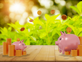 存股助理第56期︱大盤轉空要不要減碼？靠「帳戶雙刀流」找解答