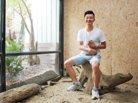 與狐獴共舞吧！沙丘中享用天然食材　牠的回眸，也是另一道滋味