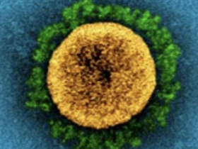 Omicron沒那麼可怕了？魔王級變種病毒漸漸「感冒化」　李秉穎曝：罹患1症狀的患者越來越多