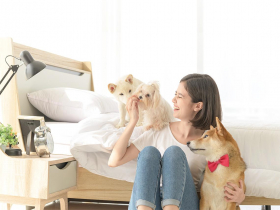 跟著專家這樣學 喵汪星人養成班