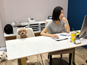 陪伴未必是解憂的良方　訓練師熊爸：狗太常看到你，牠也很焦慮