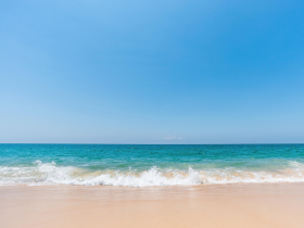 存股助理第116期︱12月營收疲軟，麗豐-KY與億光浮現加碼機會